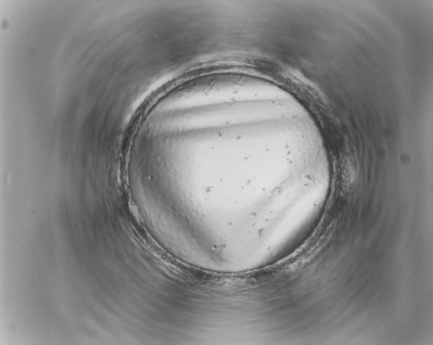 X0000057101166200510071929