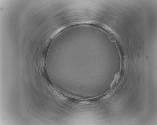 X0000057101169200510071929