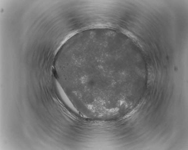 X0000057101170200510071929