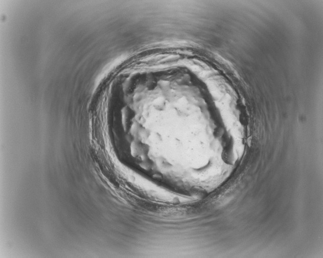 X0000057101171200510071929