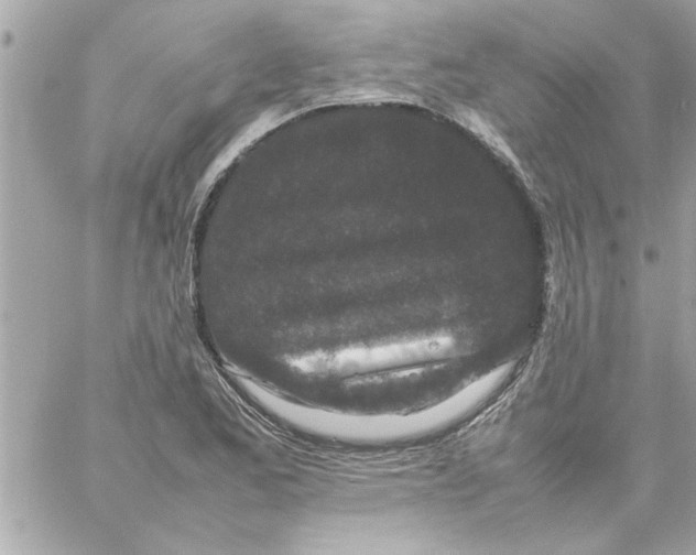 X0000057101173200510071929