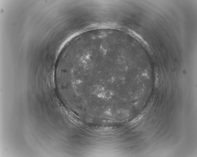 X0000057101174200510071929