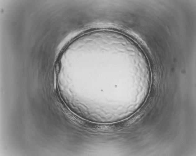 X0000057101175200510071929