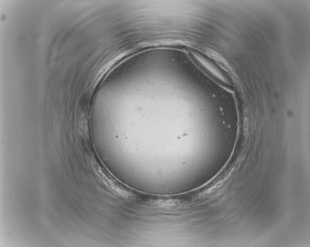 X0000057101177200510071929