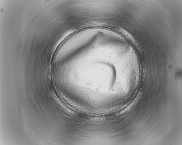 X0000057101178200510071929