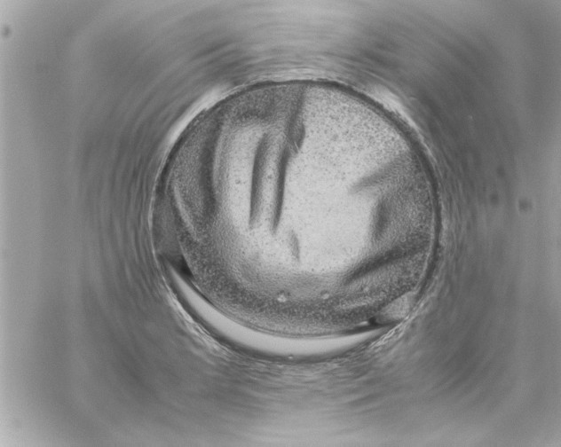 X0000057101181200510071929