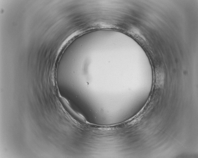 X0000057101182200510071929