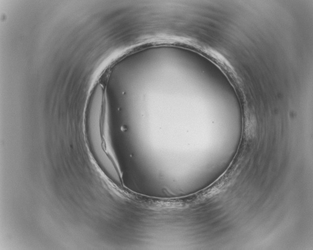 X0000057101183200510071929