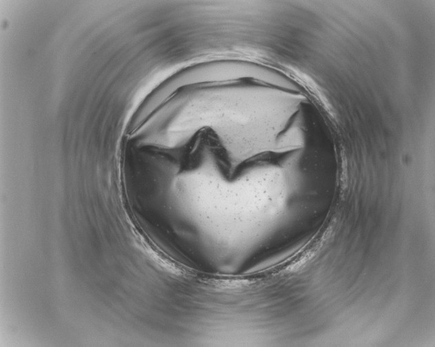 X0000057101184200510071929