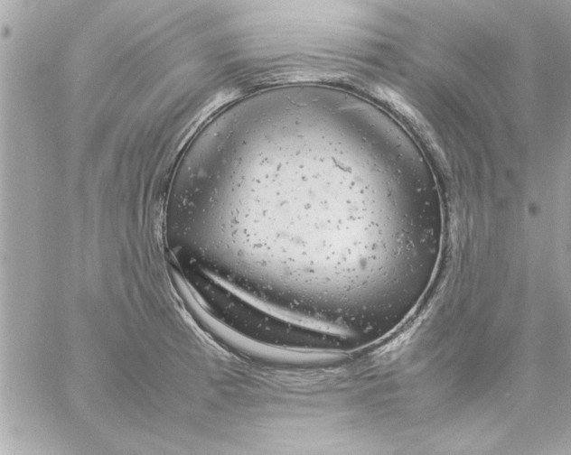 X0000057101185200510071929