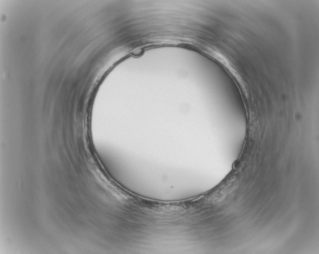 X0000057101187200510071929