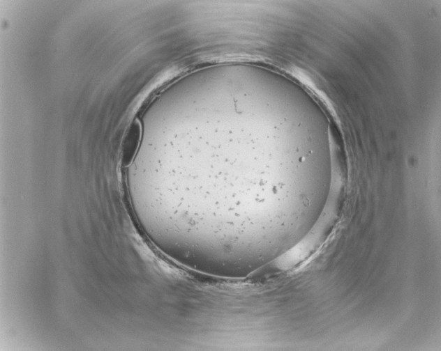 X0000057101189200510071929