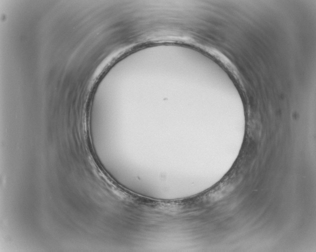 X0000057101191200510071929