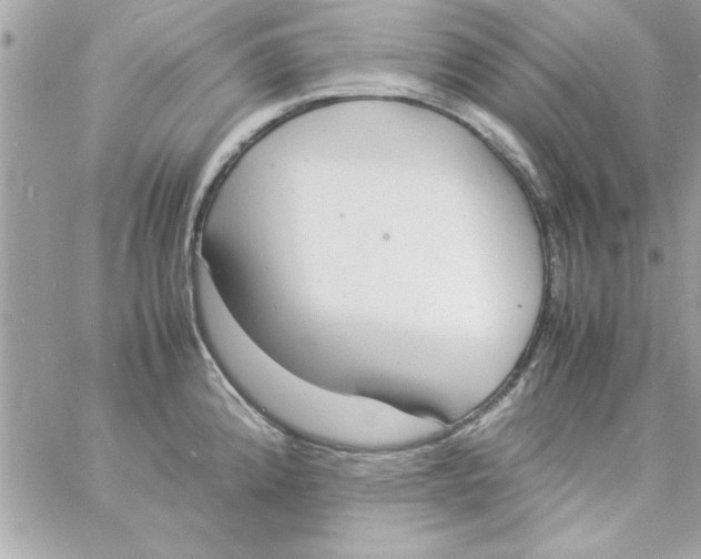 X0000057101192200510071929