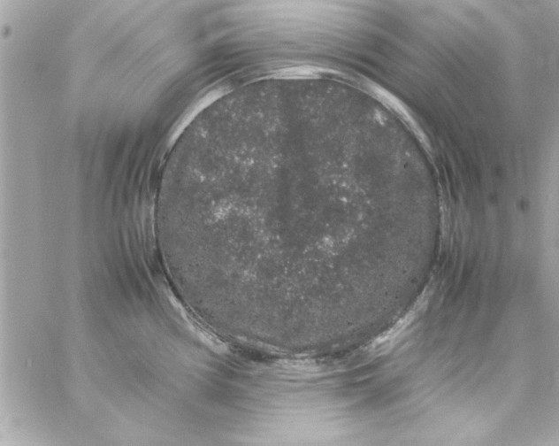 X0000057101194200510071929