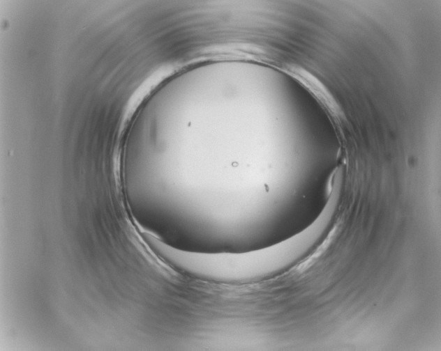 X0000057101196200510071929