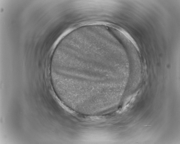 X0000057101197200510071929