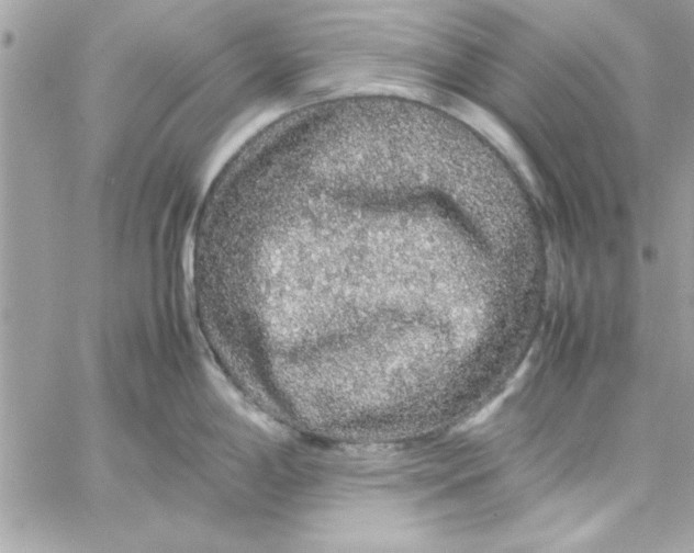 X0000057101198200510071929