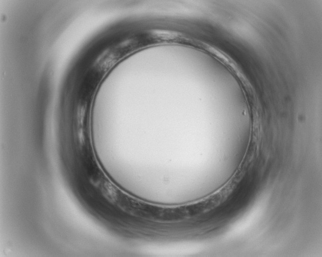 X0000057101199200510071929