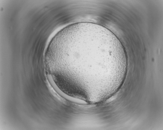 X0000057101200200510071929