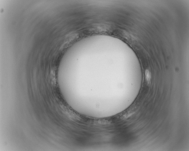 X0000057101203200510071928