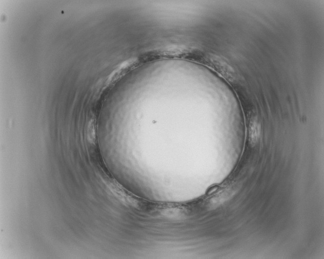 X0000057101204200510071928