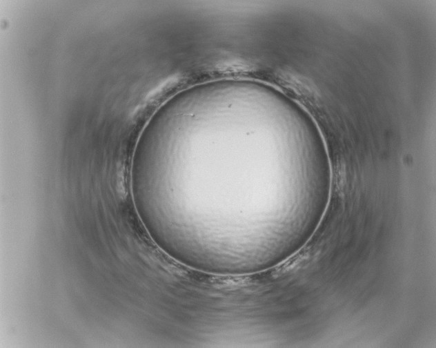 X0000057101205200510071928