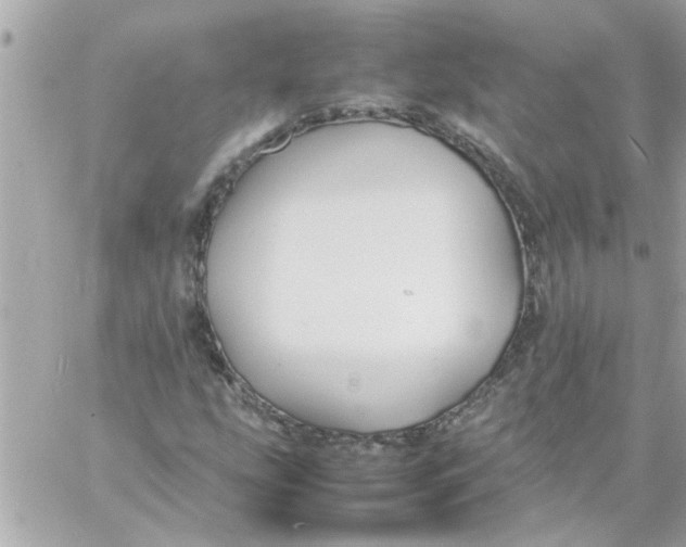 X0000057101207200510071928