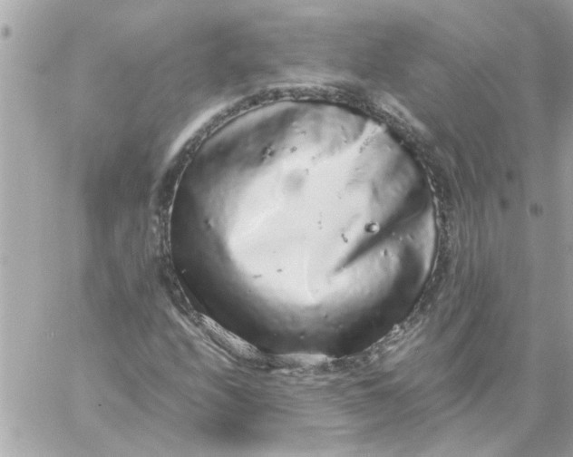 X0000057101208200510071928