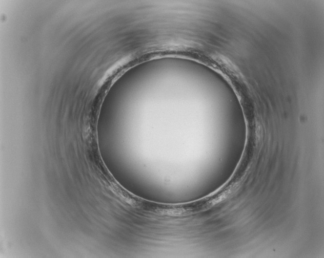 X0000057101210200510071928