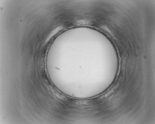 X0000057101211200510071928