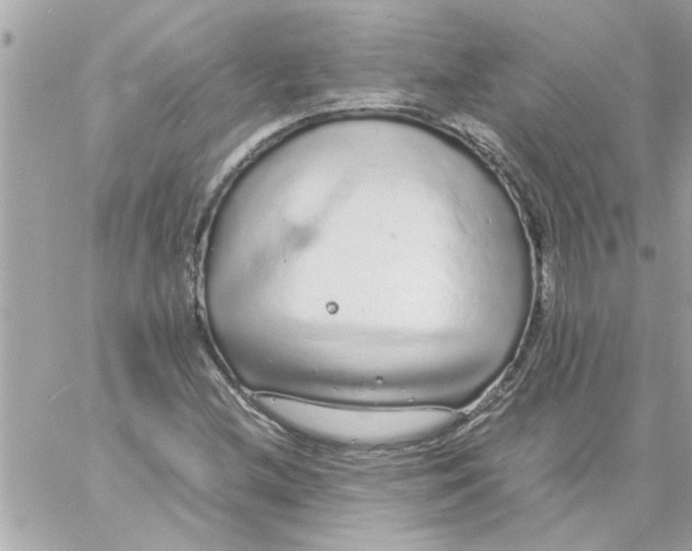 X0000057101212200510071928