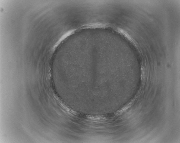 X0000057101213200510071928