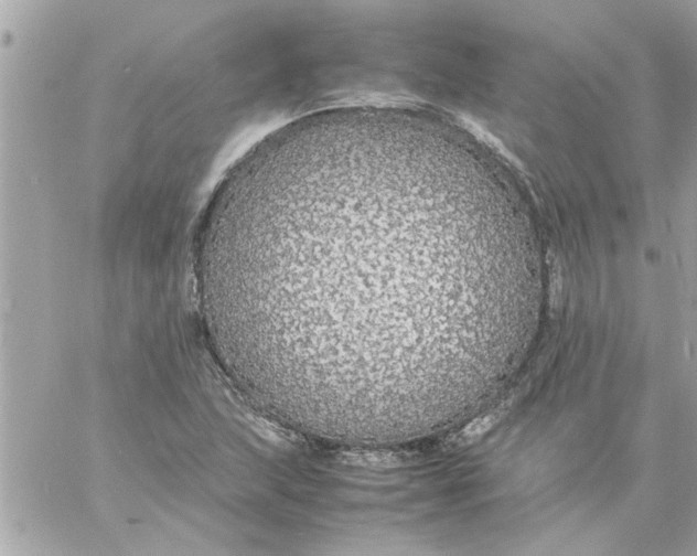 X0000057101215200510071928