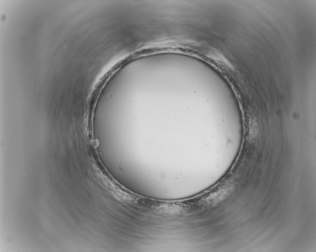 X0000057101216200510071928