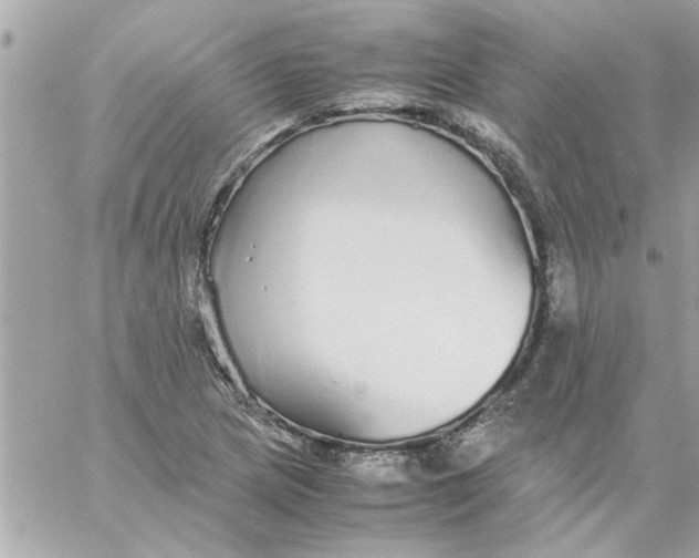 X0000057101217200510071928