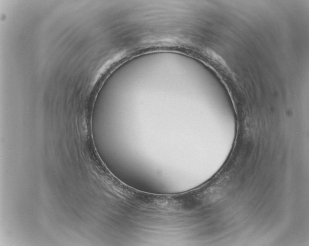 X0000057101218200510071928