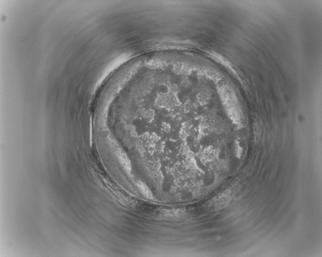 X0000057101219200510071928