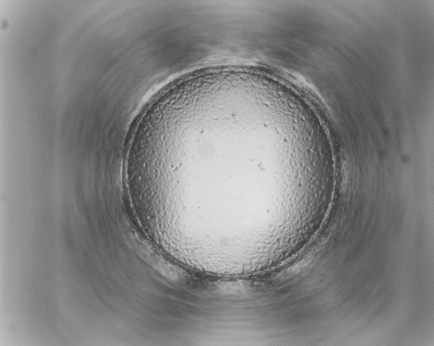 X0000057101220200510071928