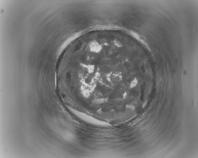 X0000057101221200510071928