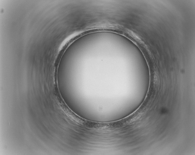 X0000057101222200510071928