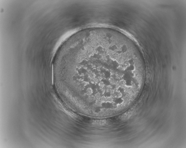 X0000057101223200510071928