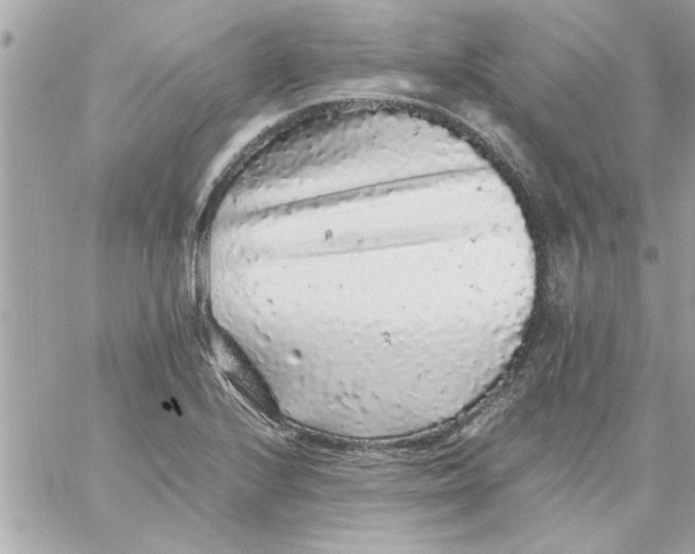 X0000057101224200510071928