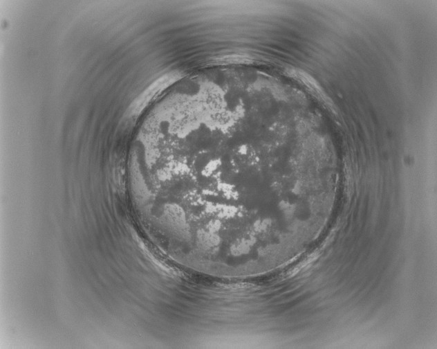 X0000057101225200510071928