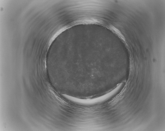 X0000057101226200510071928