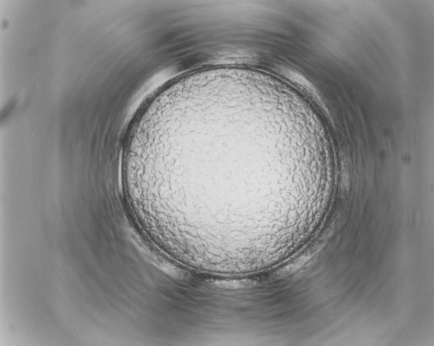 X0000057101227200510071928