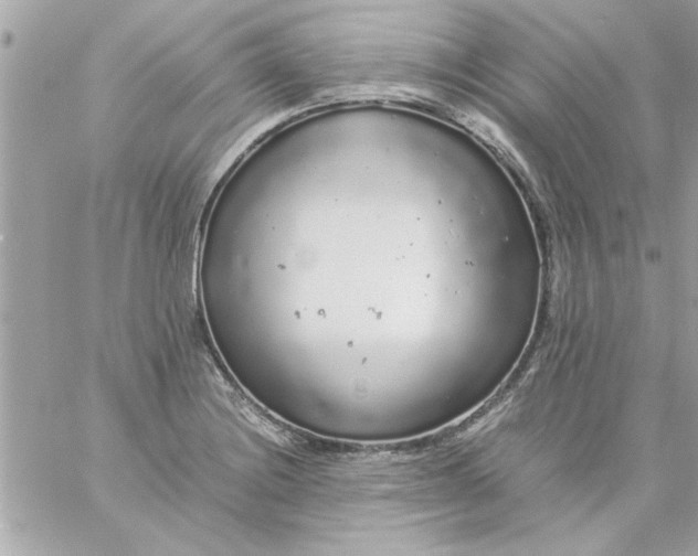 X0000057101228200510071928