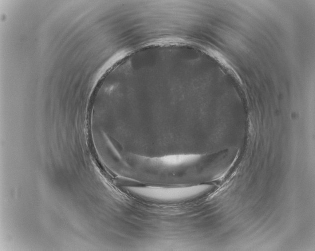 X0000057101229200510071928