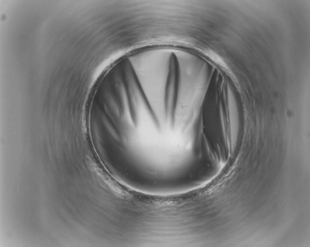 X0000057101230200510071928