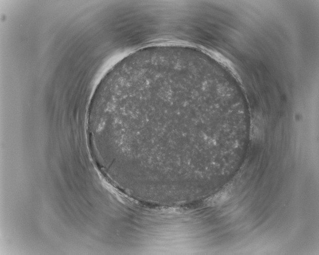 X0000057101231200510071928